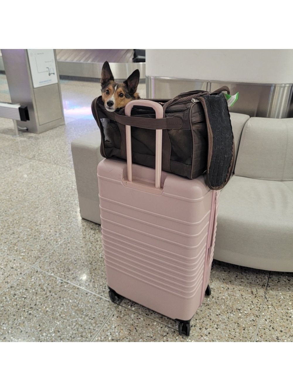 Sherpa Original Deluxe Medium Pet Carrier